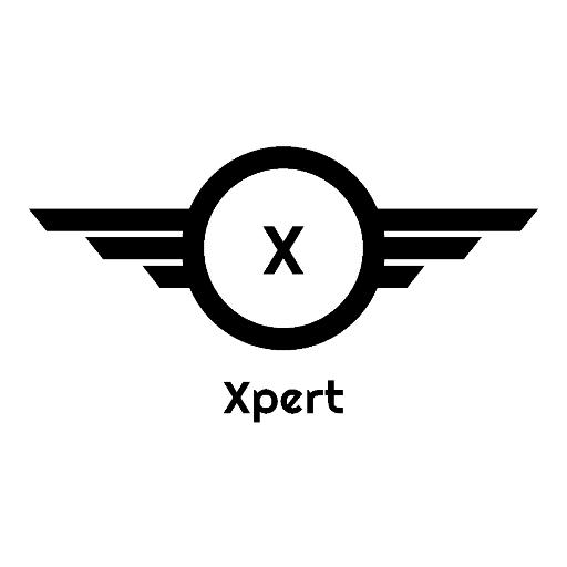 Team Xpert SEO